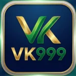 VK999